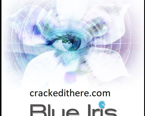 Blue Iris Pro 5.6.9.2 Crack License Key Free Download [Portable]