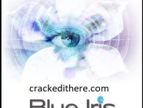 Blue Iris Pro 5.5.7.10 Crack License Key Free Download [Portable Version]